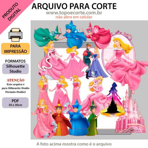 Plano de corte para imagens Bela Adormecida - Imagem 2