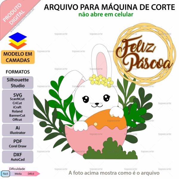 Topo de bolo Coelhinha na casca de ovo Arquivo Silhouette, Arquivo ScanNCut, Arquivo SVG, DXF, Ai, Eps, PDF